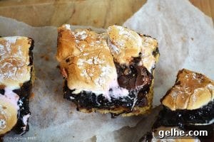 Brookie S'mores Bars Recipe: Gooey Chocolate, Brownie & Graham Bars 3 Brookie S'mores Bars are a combination of soft and chewy chocolate chip cookies and rich and fudgy brownies sandwiched in between crushed digestive biscuits (Graham Crackers) and a layer of toasted marshmallows.