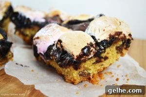 Brookie S'mores Bars Recipe: Gooey Chocolate, Brownie & Graham Bars 4 Brookie S'mores Bars are a combination of soft and chewy chocolate chip cookies and rich and fudgy brownies sandwiched in between crushed digestive biscuits (Graham Crackers) and a layer of toasted marshmallows.