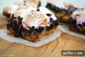Brookie S'mores Bars Recipe: Gooey Chocolate, Brownie & Graham Bars 5 Brookie S'mores Bars are a combination of soft and chewy chocolate chip cookies and rich and fudgy brownies sandwiched in between crushed digestive biscuits (Graham Crackers) and a layer of toasted marshmallows.