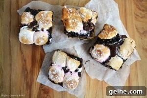 Brookie S'mores Bars Recipe: Gooey Chocolate, Brownie & Graham Bars 6 Brookie S'mores Bars are a combination of soft and chewy chocolate chip cookies and rich and fudgy brownies sandwiched in between crushed digestive biscuits (Graham Crackers) and a layer of toasted marshmallows.