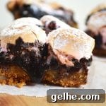 Brookie S'mores Bars Recipe: Gooey Chocolate, Brownie & Graham Bars 7 Brookie S'mores Bars are a combination of soft and chewy chocolate chip cookies and rich and fudgy brownies sandwiched in between crushed digestive biscuits (Graham Crackers) and a layer of toasted marshmallows.