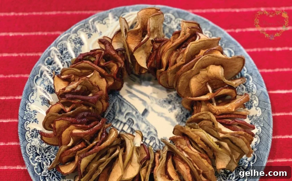 Oven-Dried Apples: Simple Method for Crispy, Long-Lasting Snacks 3 Ring of Oven Dried Apples