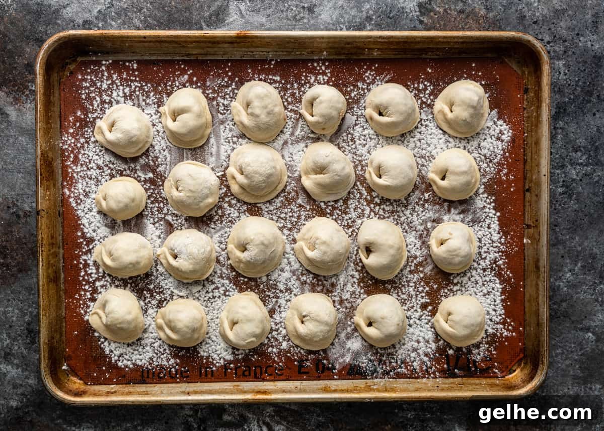 overhead: tray filled with ready to cook shish barak recipe