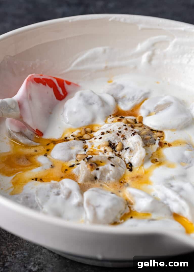 closeup: yogurt sauce for meat dumplings
