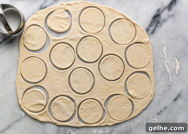 overhead: cut out circles to make meat dumplings