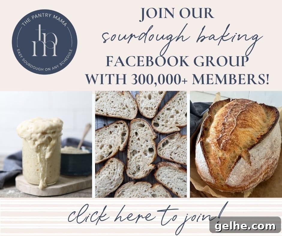 Crispy Sourdough Grissini Breadsticks for Snacking and Dipping 9 img 5111 9