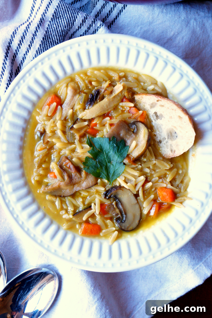 chicken mushroom orzo soup | The Baking Fairy