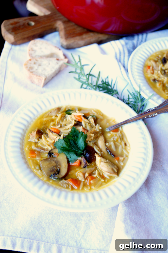 chicken mushroom orzo soup | The Baking Fairy