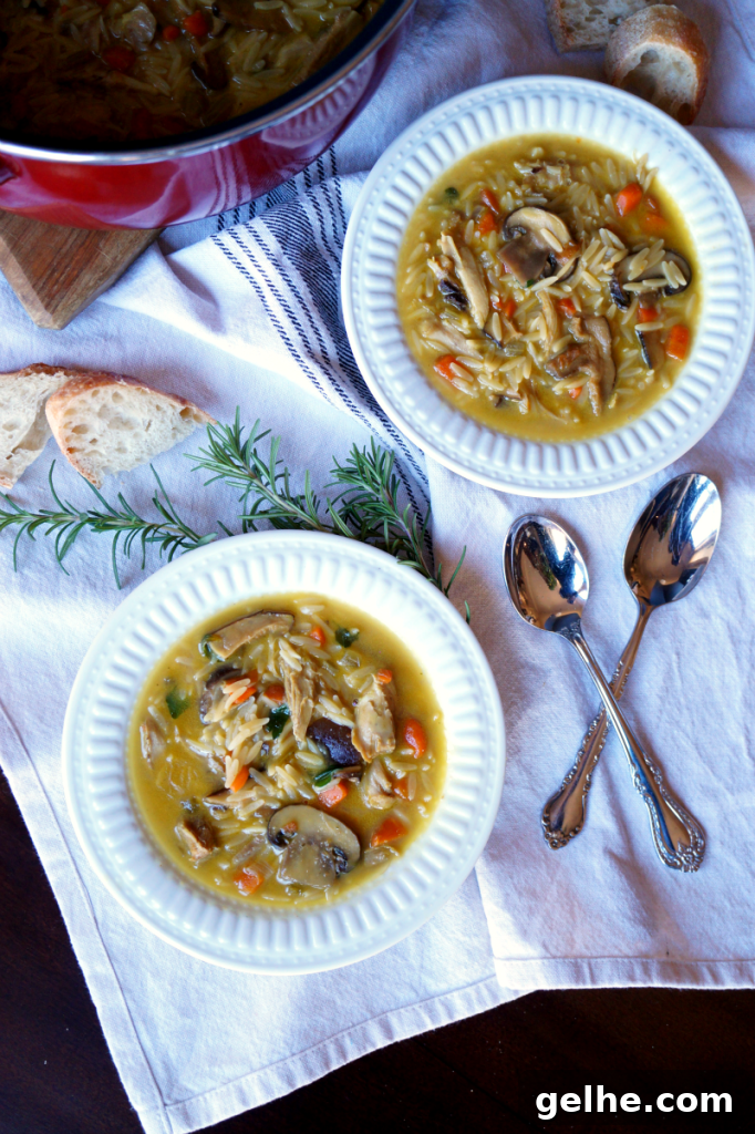 chicken mushroom orzo soup | The Baking Fairy