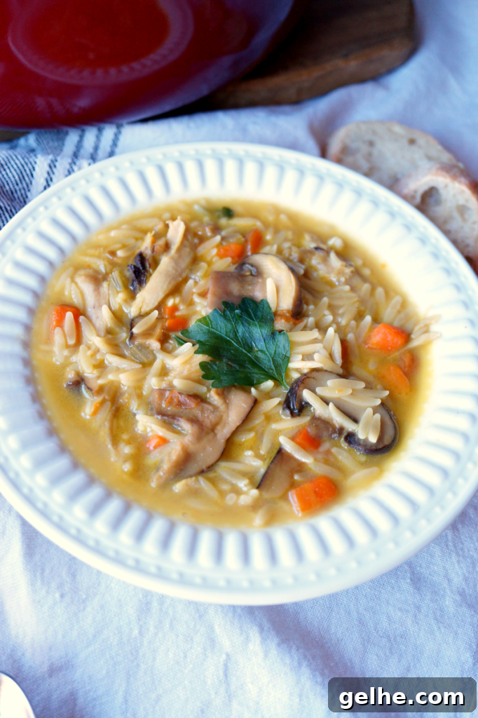 chicken mushroom orzo soup | The Baking Fairy