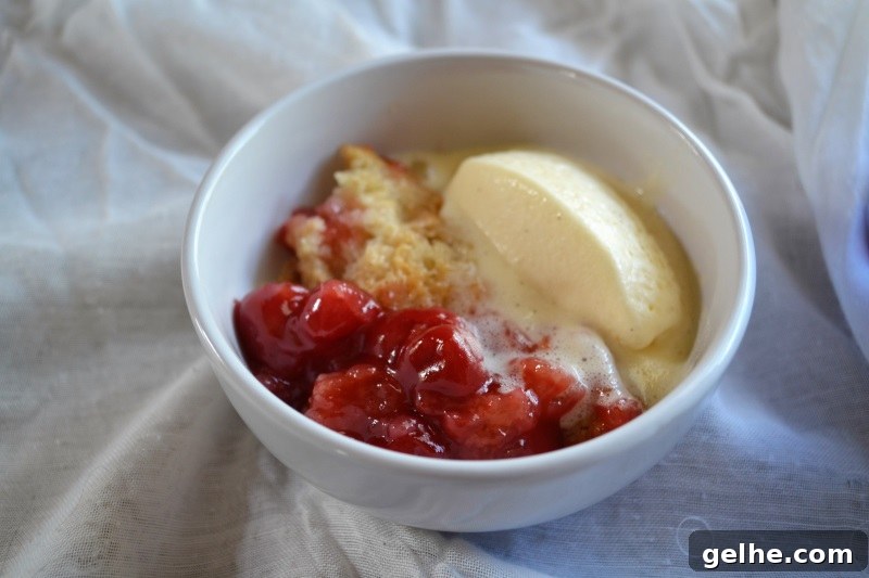 Quick Cherry Cobbler Recipe Ready in 30 Minutes 2 Quick Cherry Cobbler from www.ApronFreeCooking.com