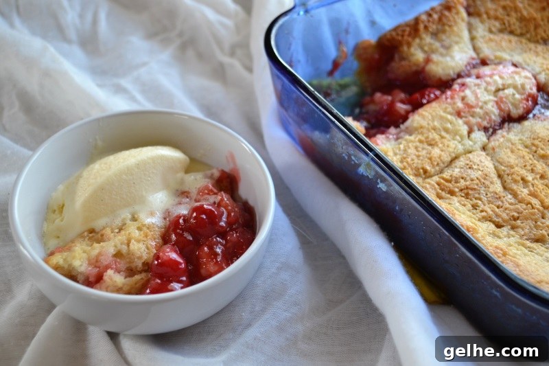 Quick Cherry Cobbler Recipe Ready in 30 Minutes 3 Quick Cherry Cobbler from www.ApronFreeCooking.com