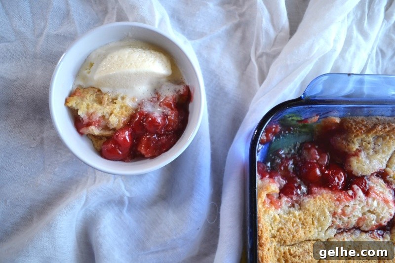 Quick Cherry Cobbler Recipe Ready in 30 Minutes 4 Quick Cherry Cobbler from www.ApronFreeCooking.com