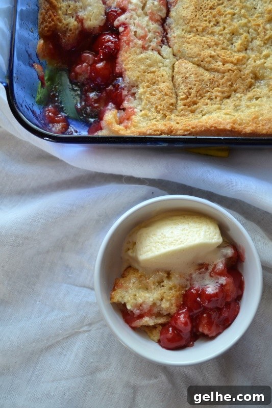 Quick Cherry Cobbler Recipe Ready in 30 Minutes 7 Quick Cherry Cobbler from www.ApronFreeCooking.com