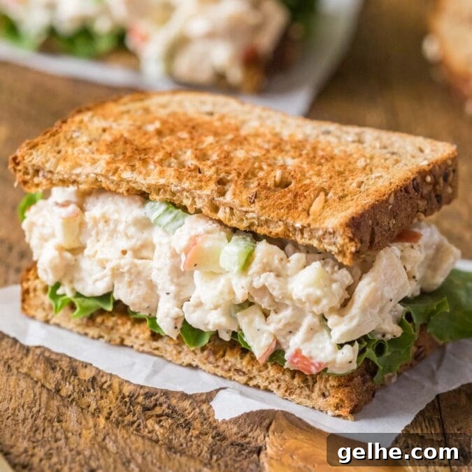 Chicken salad sandwich with lettuce and toasted wheat bread.