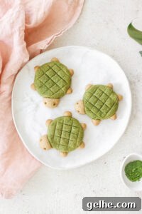 Turtle Shaped Vegan Matcha Cookies