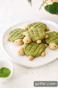 Turtle Shaped Vegan Matcha Cookies