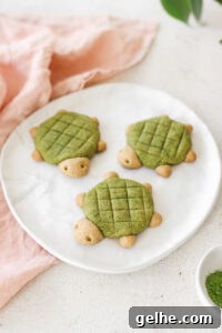 Turtle Shaped Vegan Matcha Cookies