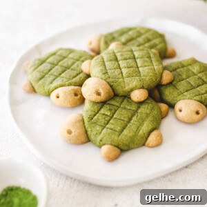 Turtle Shaped Vegan Matcha Cookies