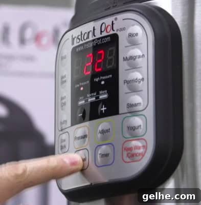 9 Instant Pot Mistakes to Avoid Now 4 img 56996 4