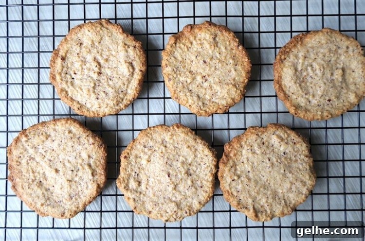 Crispy Keto Hazelnut Biscuits Recipe 4 Easy Keto Hazelnut Soft Cookies