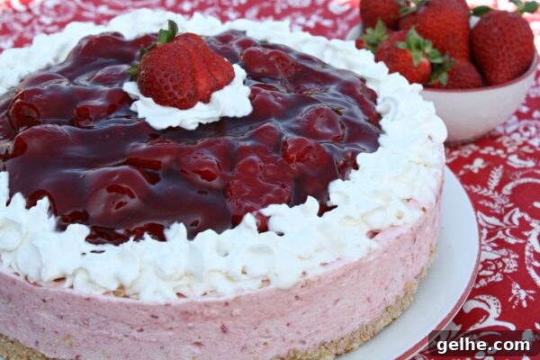 9 Refreshing No-Bake Summer Desserts You Can Make Today 2 img 6003 1