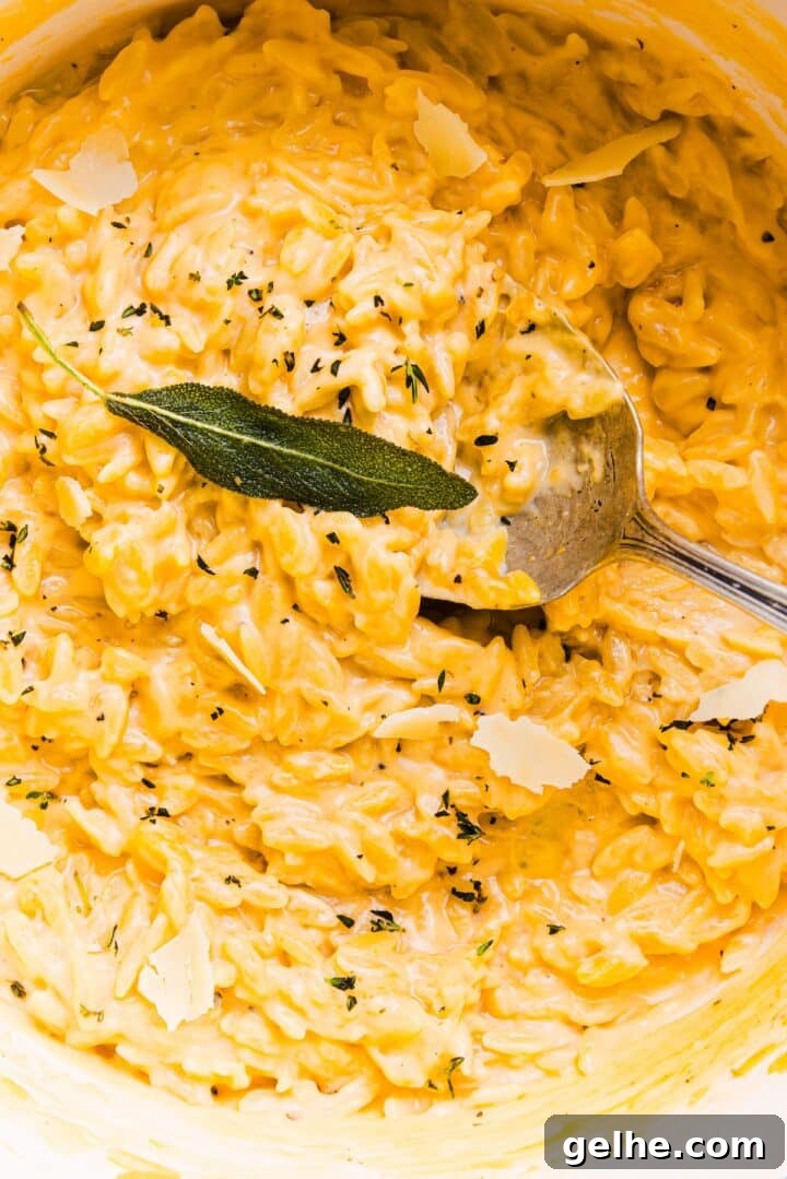 Creamy One-Pot Orzo with Cheese 3 Close-up photo of a pot with cheesy one-pot orzo, topped with extra black pepper and a sage leaf
