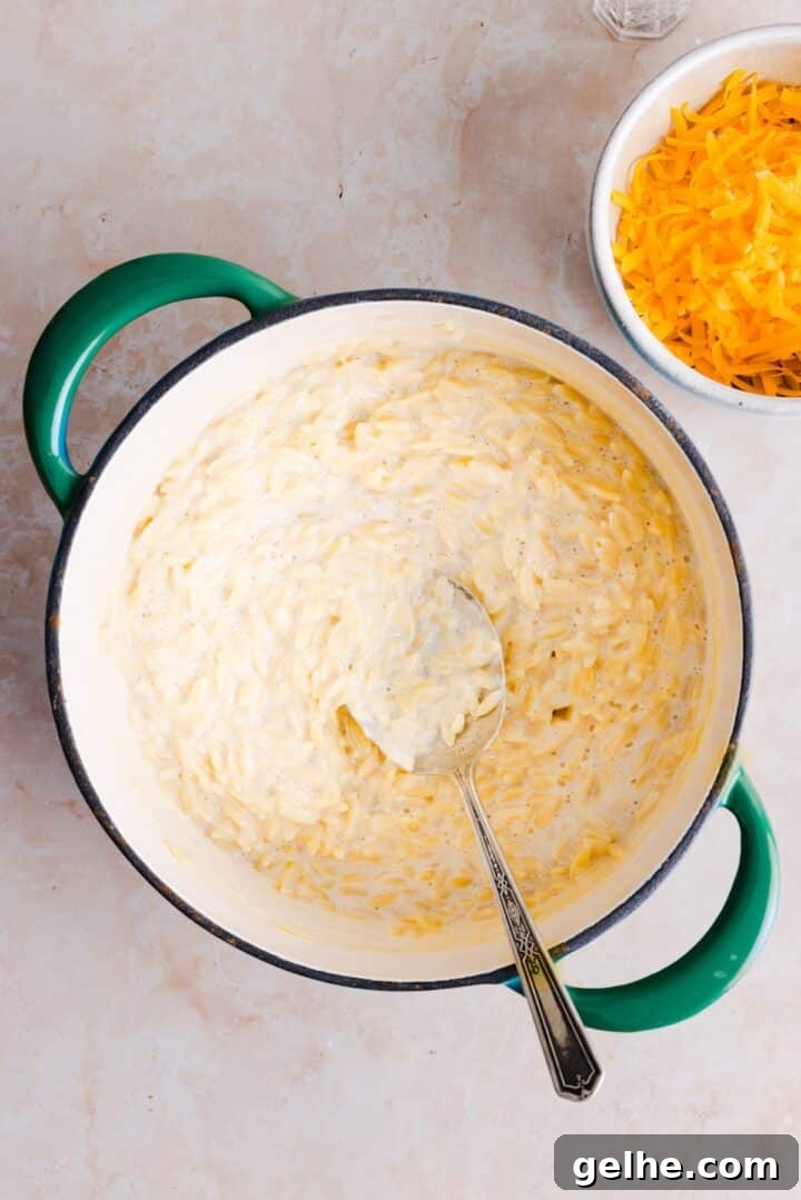 Creamy One-Pot Orzo with Cheese 6 Orzo cooked in milk and broth sitting in a large pot on the stove