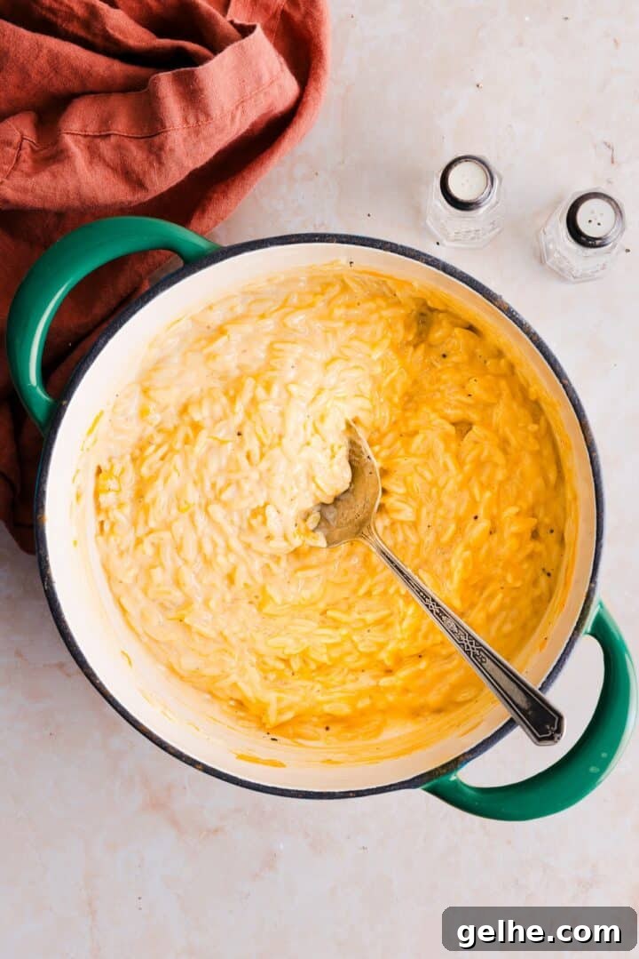 Creamy One-Pot Orzo with Cheese 8 One-pot orzo mac and cheese stirred and ready to serve in a large pot