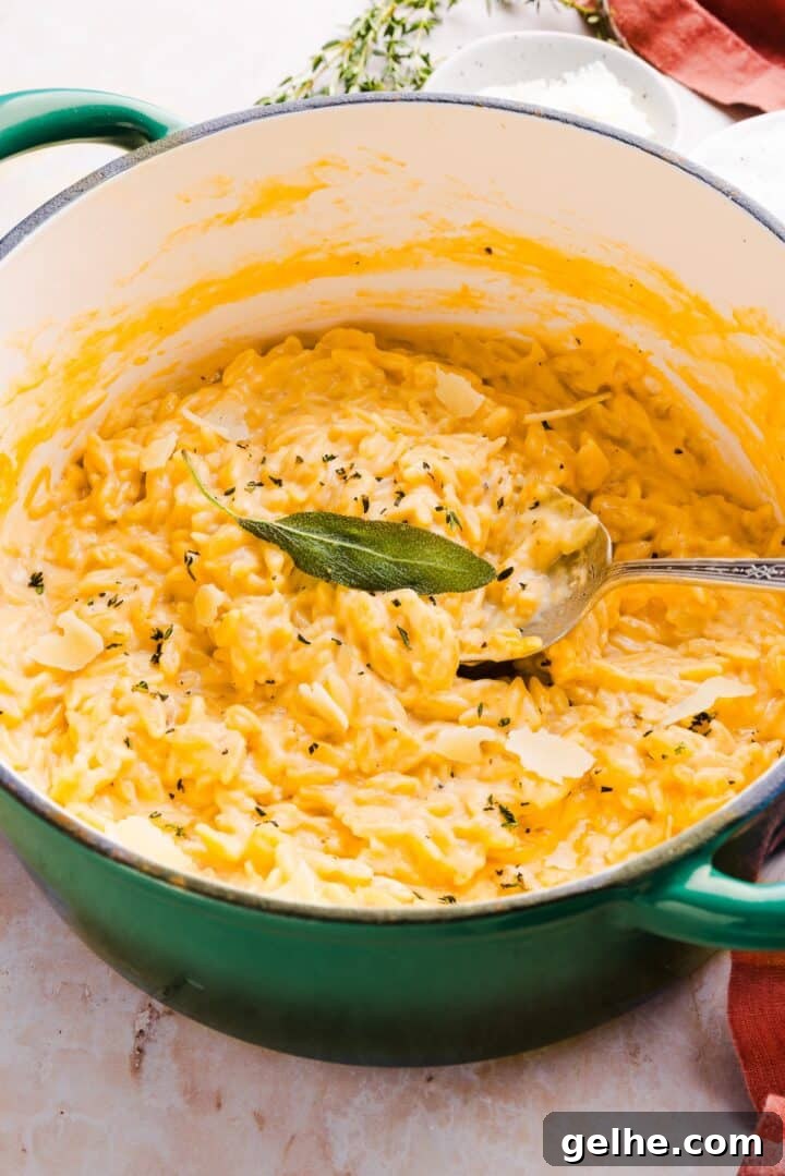 Creamy One-Pot Orzo with Cheese 9 Large pot containing orzo mac and cheese, topped with black pepper and a sage leaf