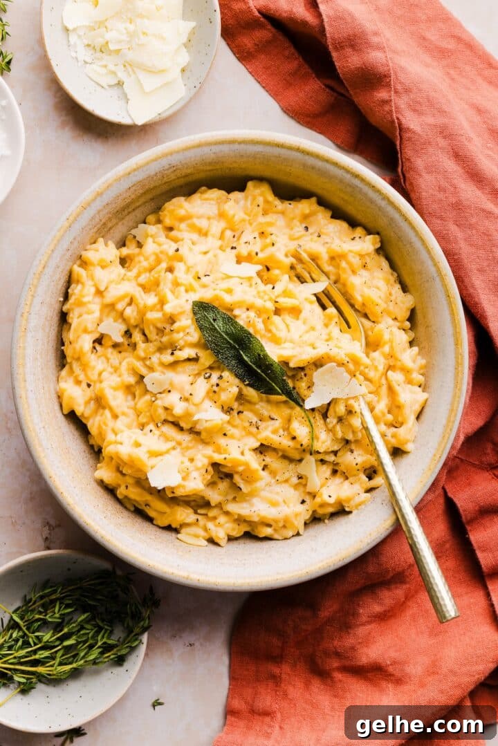 Creamy One-Pot Orzo with Cheese 10 Overhead photo of a bowl with cheese orzo, topped with sliced parmesan and a sage leaf