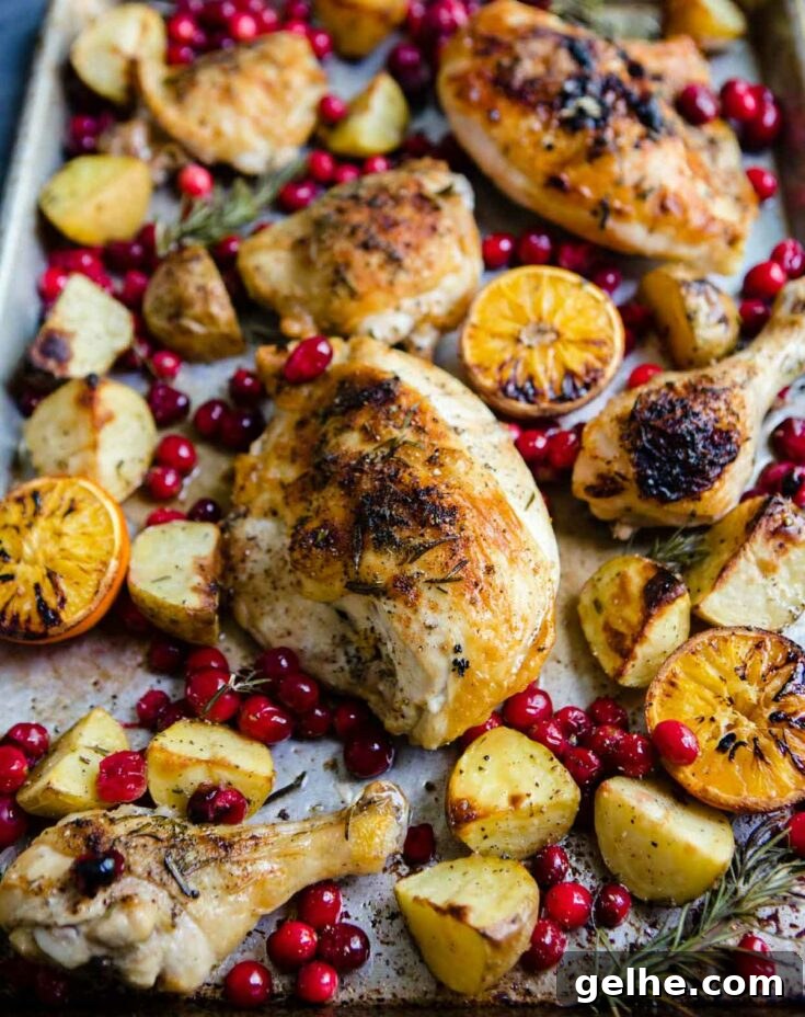 Sheet pan cranberry chicken with potatoes.