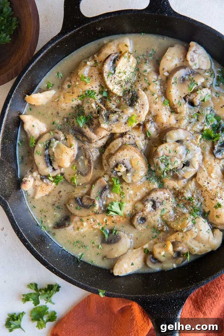 Creamy mushroom chicken in rustic skillet.