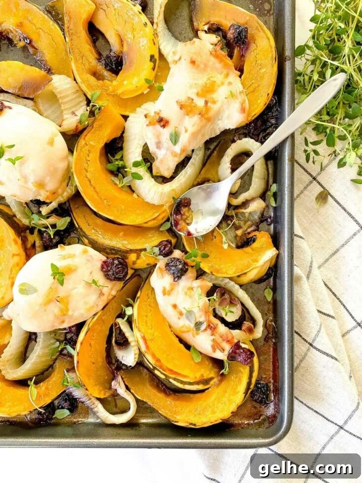 Maple ginger chicken tray bake with fennel and squash.