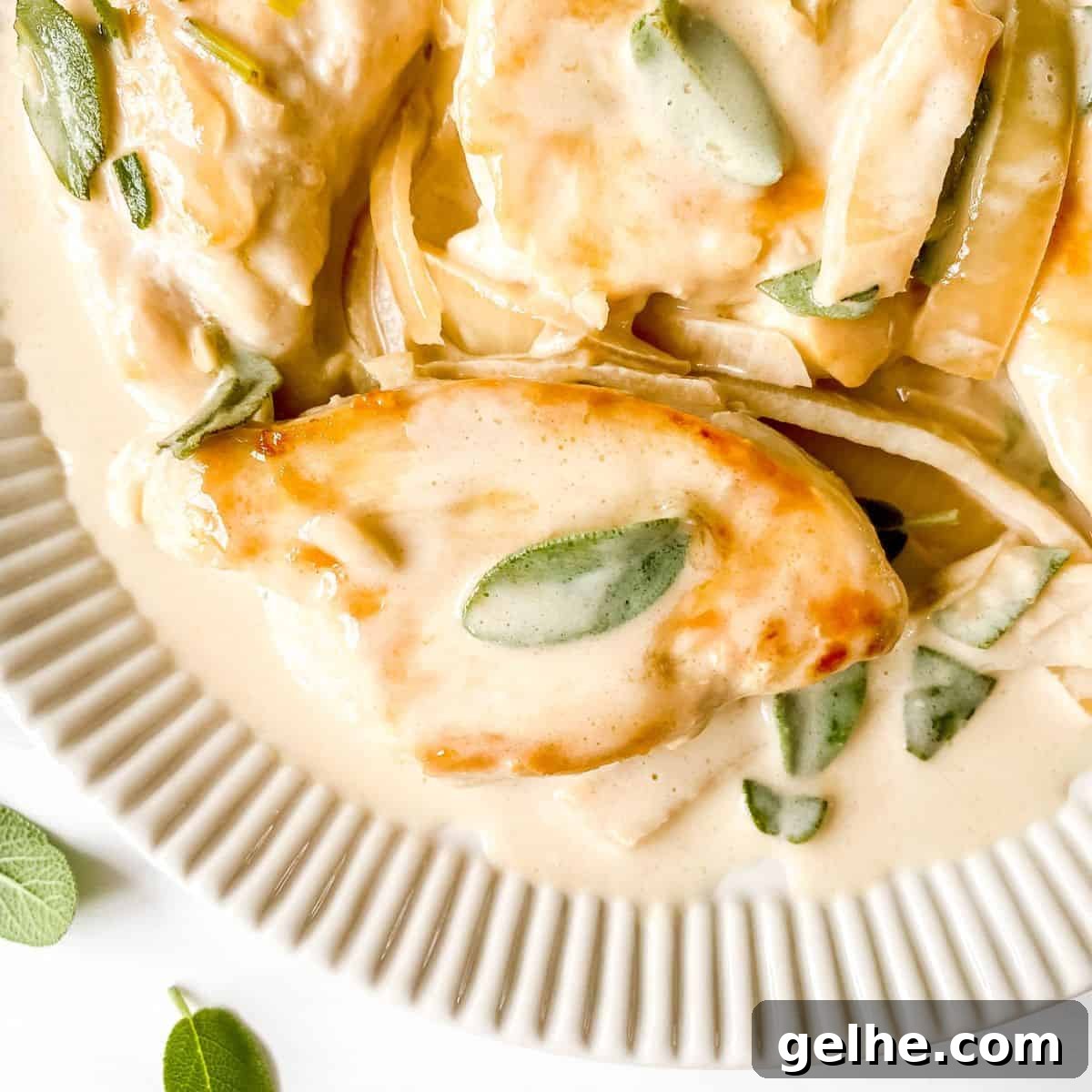 Creamy sage chicken on ridged plate garnished with sage.