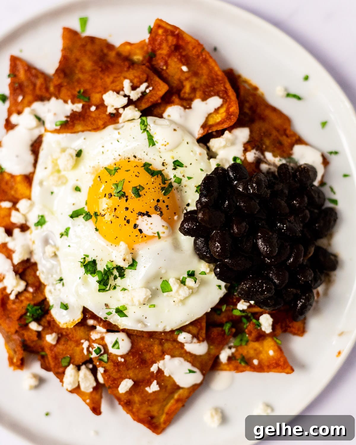 A close up view of a plate of red chilaquiles served with a side of Mexican black beans.