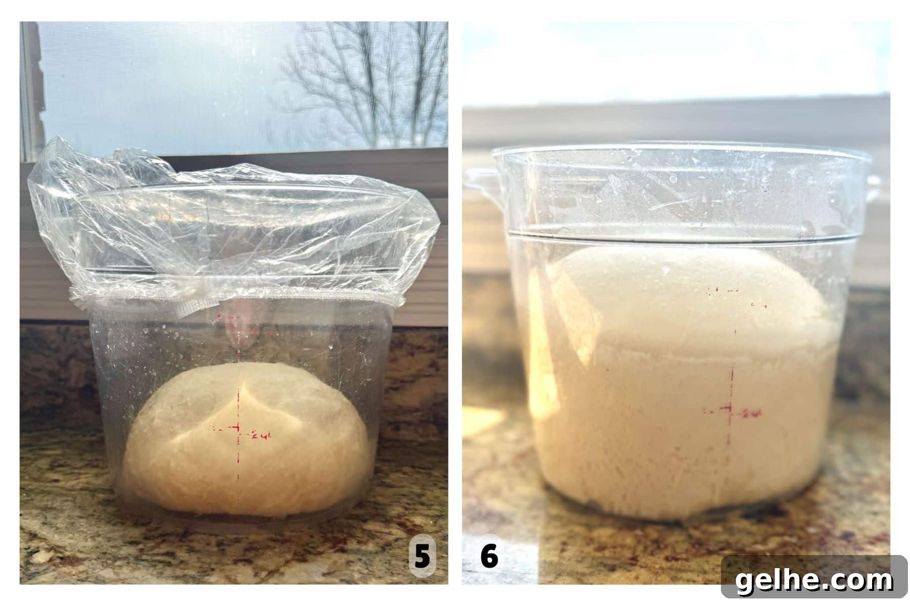 Two pictures show a container with a ball of dough that has doubled in size.