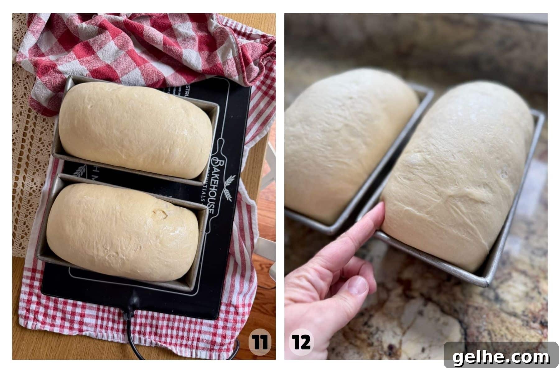 Two loaf pans contain dough that has puffed up and risen while a finger presses into the side to test the dough's readiness.
