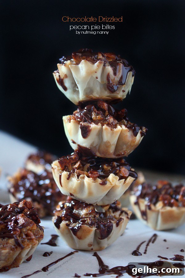 Chocolate-Drizzled Pecan Pie Bites with Crispy Shortbread 3 Chocolate Drizzled Pecan Pie Bites by Nutmeg Nanny