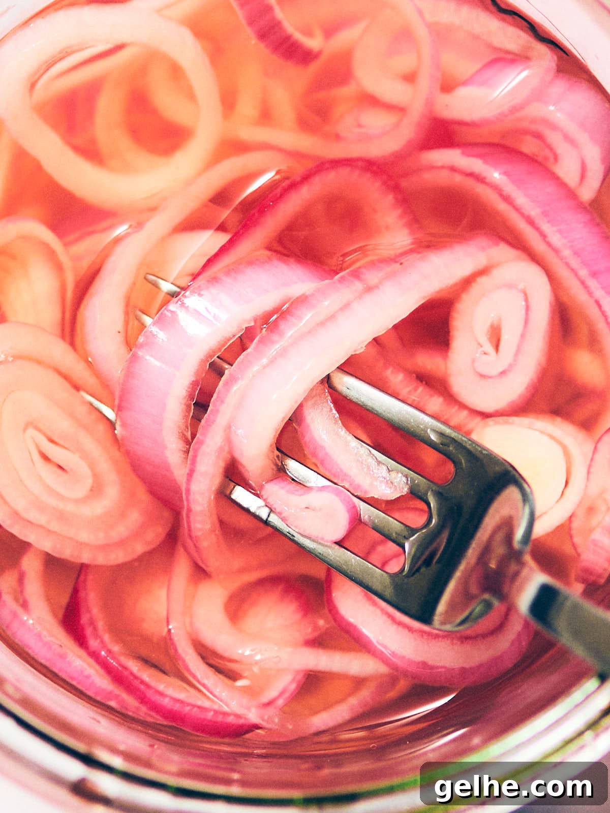 A fork scooping easy pickled shallots out of a jar.