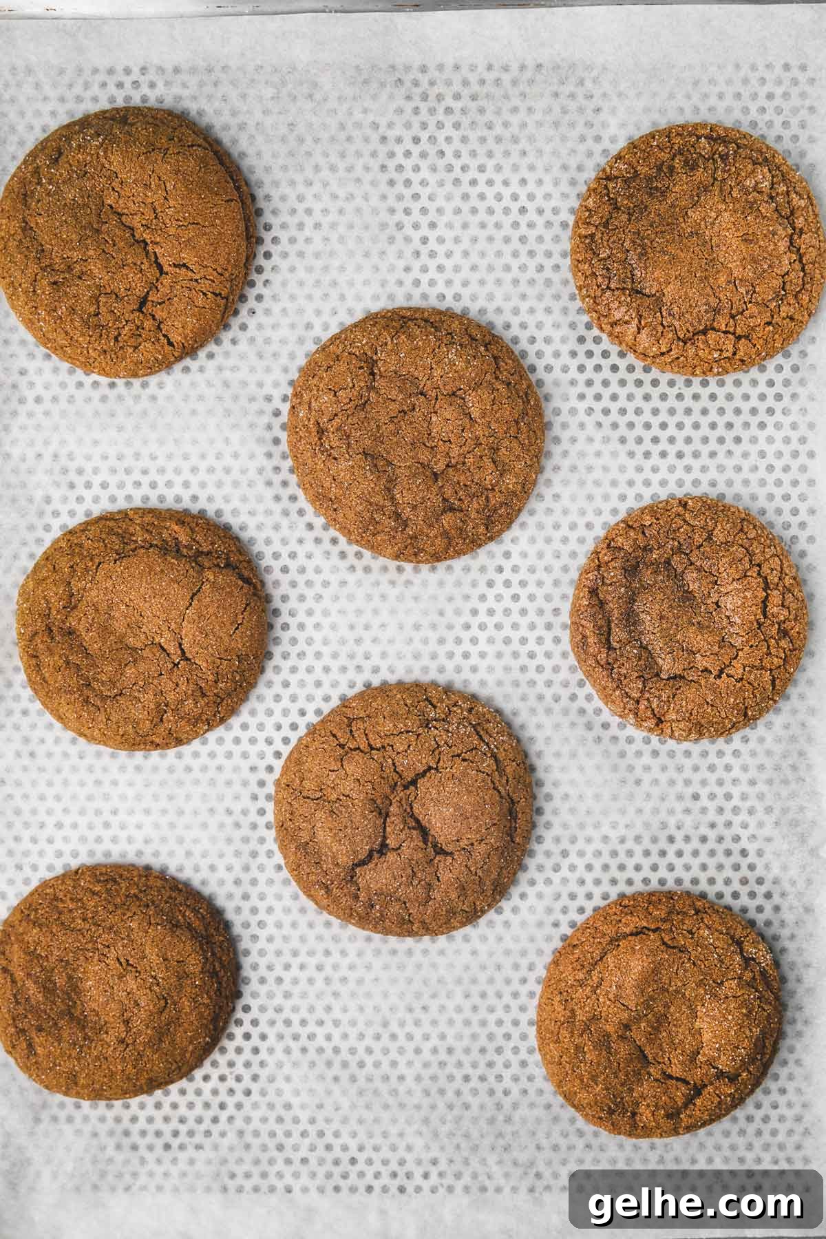 Frosted Gingerbread Cookies Recipe for Holiday Baking 11 baking tray with baked cookies