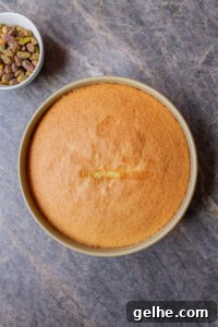 Olive oil sponge