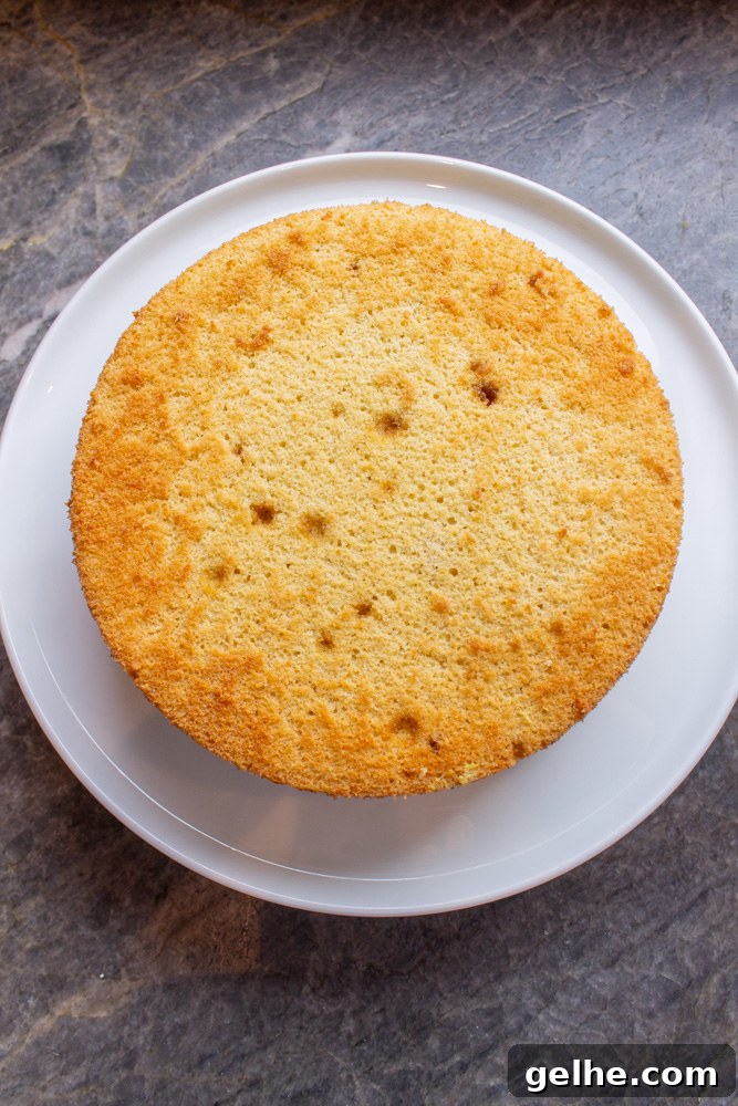 Olive oil sponge