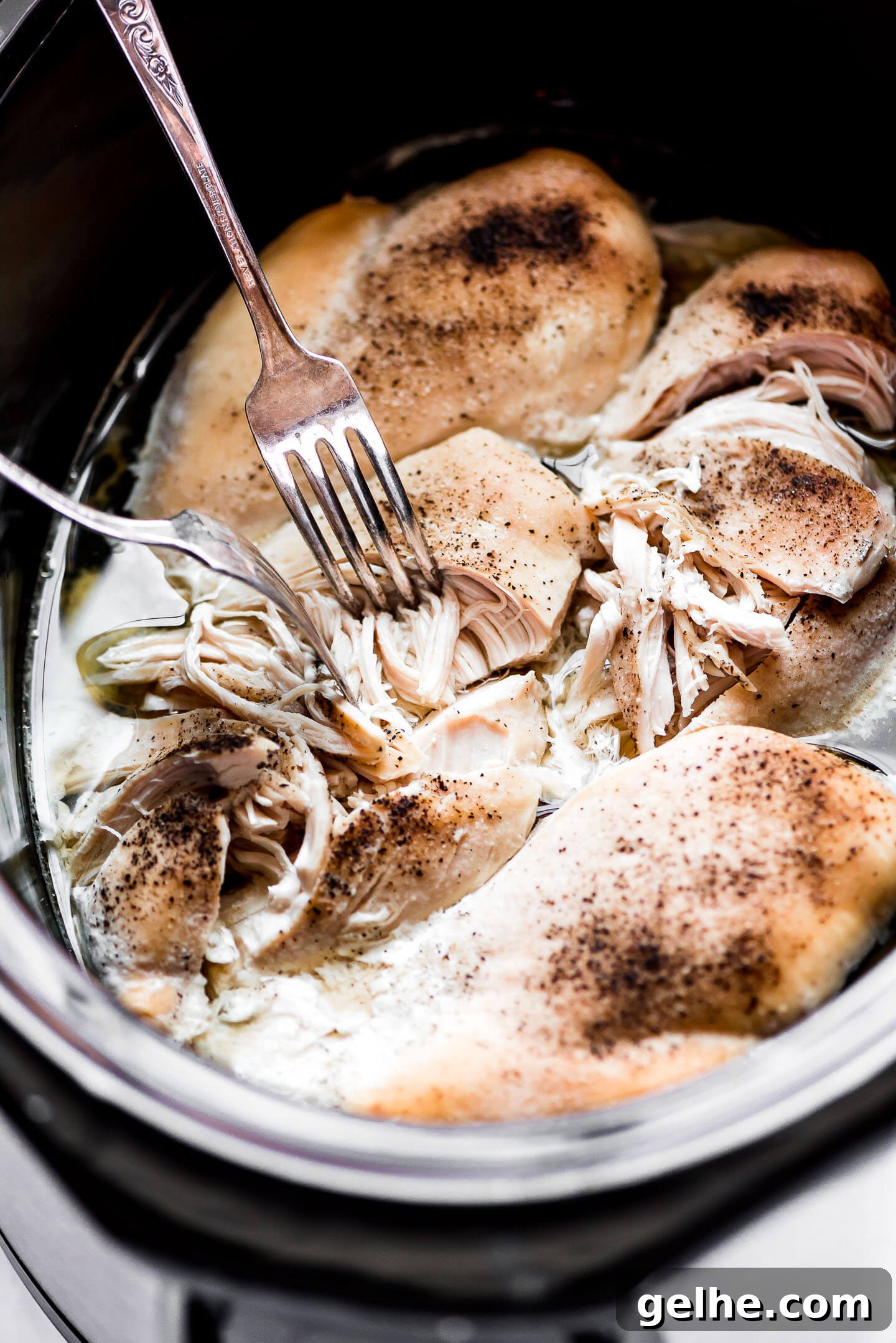 Seasoned chicken breasts in a slow cooker with two forks starting to shred one of the breasts.