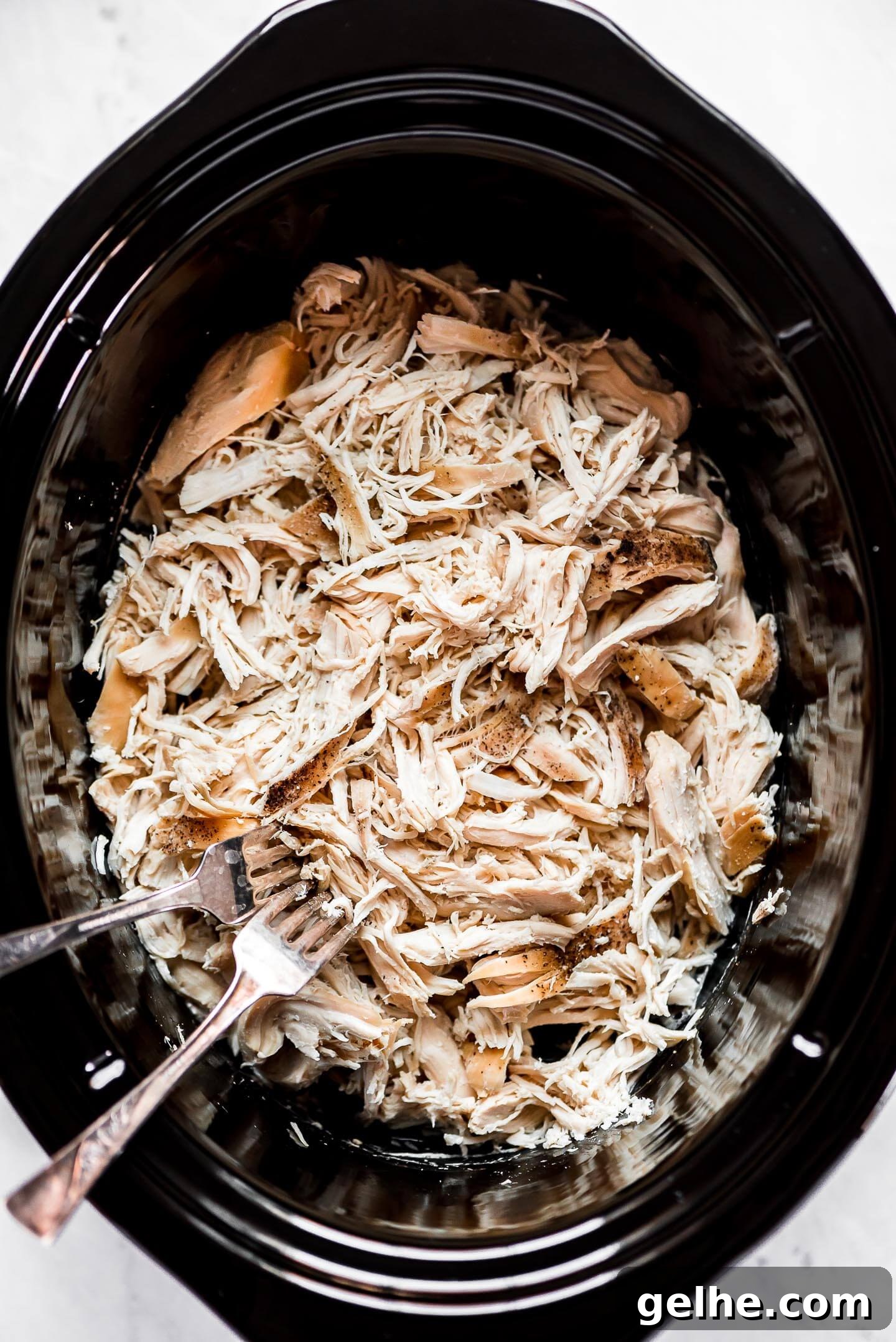 Top view of shredded chicken in a slow cooker with two forks at the side that were used for shredding.