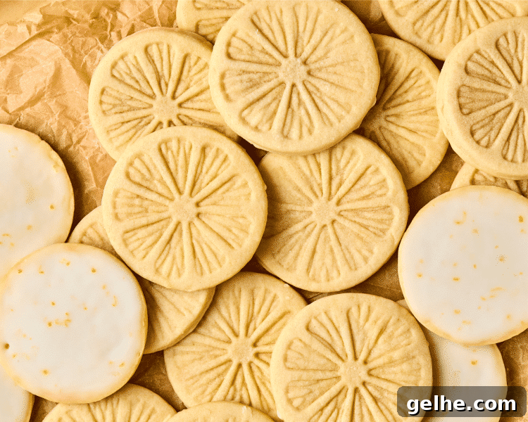 Picture of lemonade cookies after they have been baked and dipped into the glaze. Picture is showing the top of some of the cookies with the lemon stamp and the other cookies are turned over to show glaze on the bottom.