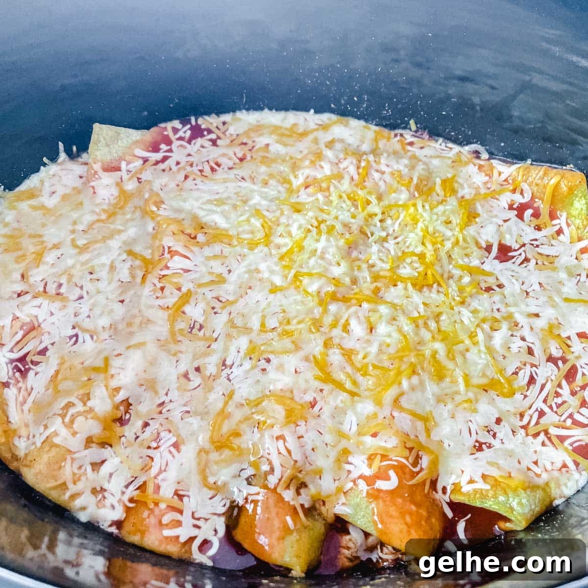 Slow Cooker Shredded Chicken Enchiladas Recipe 11 Cheese is melted over the chicken enchiladas.