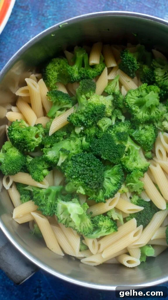 cooked penne pasta and broccoli in a pan
