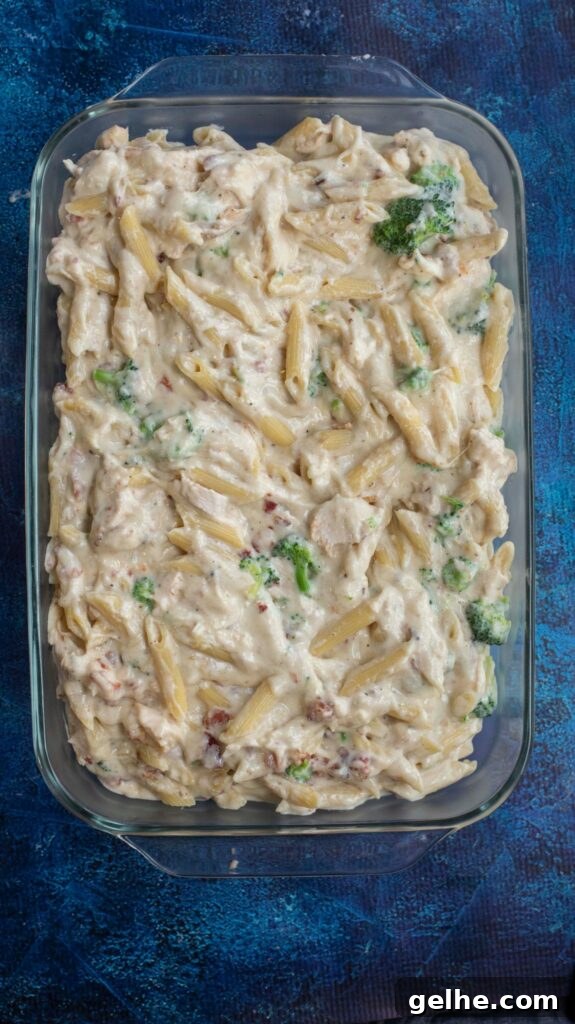 chicken alfredo casserole ingredients mixed together in a pan