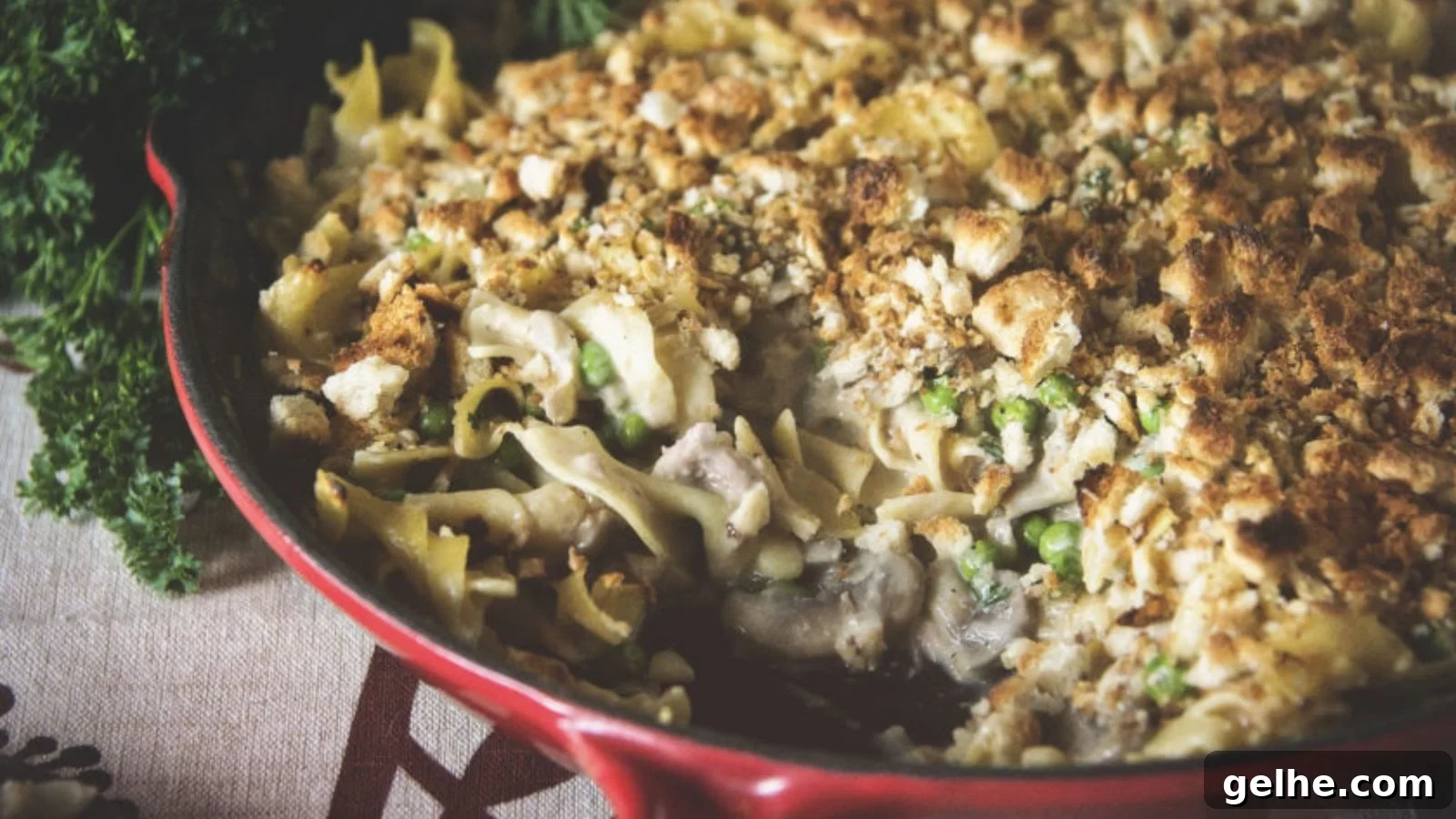 Tuna casserole baked creamy with noodles and breadcrumbs.